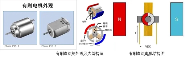 Brushed DC motor appearance machine internal structure illustration